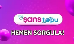 Şans Topu 29 Nisan sonuçları açıklandı: Büyük ikramiye devretti