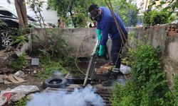 Antalya’da sivrisinek ve haşerelere karşı yoğun mücadele: Büyükşehir ekipleri sahada