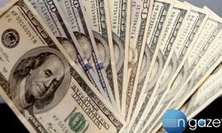 Dolar kaç TL? 1 Nisan 2026 güncel kur