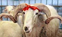 Alanya'da turizminde 9 günlük bayram alarmı: Gözler o tarihe çevrildi