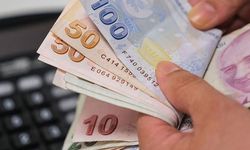 Merkez Bankası anketine göre memur ve emekli temmuz zammı