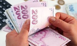 İki gübre çeşidinde daha gümrük vergisi sıfırlandı