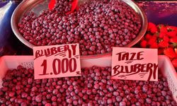 Alanya pazarında fiyatlar altüst: Sebze düştü, domates ve blueberry zirve yaptı