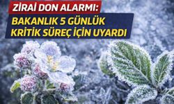 Zirai don alarmı: Bakanlık 5 günlük kritik süreç için uyardı