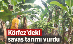 Körfez’deki savaş tarımı vurdu: Gübre ve enerji maliyetleri Alanyalı üreticiyi zorluyor