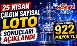 25 Nisan Çılgın Sayısal Loto sonuçları açıklandı