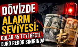 Dövizde alarm seviyesi: Dolar 45 TL’yi geçti, Euro rekor sınırında