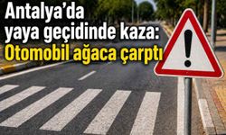 Antalya’da yaya geçidinde kaza: Otomobil ağaca çarptı