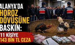 Alanya’da horoz dövüşüne baskın: 11 kişiye 143 bin TL ceza