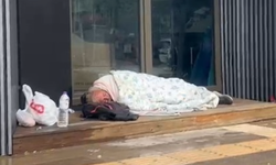 Alanya'da yürekleri sızlatan manzara