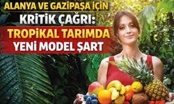 Alanya ve Gazipaşa için kritik çağrı: Tropikal tarımda yeni model şart