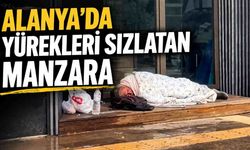 Alanya’da yürekleri sızlatan manzara