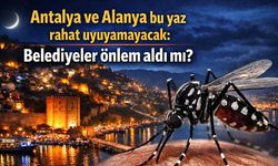 Alanya’da da risk büyüyor: Antalya genelinde sivrisinek tehdidi kapıda