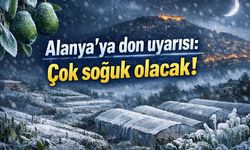Alanya'ya zirai don uyarısı: Yüksek kesimler çok soğuk olacak!