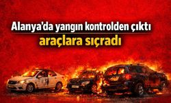 Alanya'da korku dolu anlar: Yangın kontrolden çıktı araçlara sıçradı