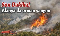 Alanya'da orman yangını: Şıhlar mahallesinde makilik alan kontrol ltına alındı