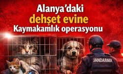 Alanya'daki dehşet evine Kaymakamlık operasyonu