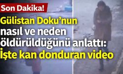 Gülistan Doku'nun nasıl ve neden öldürüldüğünü anlattı: İşte kan dönduran video