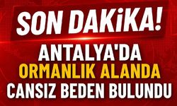 Son Dakika! Antalya'da ormanlık alanda cansız beden bulundu
