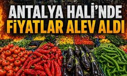 Antalya Hali'nde fiyatlar alev aldı