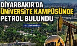 Diyarbakır'da üniversite kampüsünde petrol bulundu