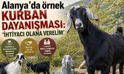 Alanya'da örnek kurban dayanışması: 'İhtiyacı olana verelim'