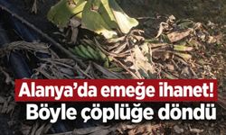 Alanya'da emeğe ihanet! Böyle çöplüğe döndü
