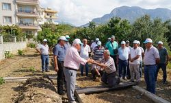 Alanya’da salep üretiminde tarihi adım: Hasat için geri sayım başladı