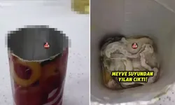 Şok görüntüler: Türkiye'nin ünlü meyve suyunun içinden yılan ölüsü çıktığı iddia edildi