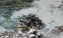 Soğukkapı Plajı’nda çevre alarmı