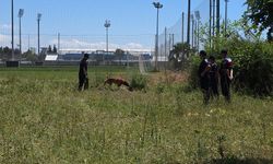 Manavgat'ta boş arazide insan kafatası ve kemikleri bulundu