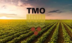 TMO 2026 buğday ve arpa alımlarına 21 Mayıs'ta başlıyor