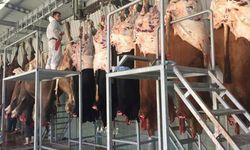 Kesimhanelere kamera ve dijital takip sistemi kurulacak