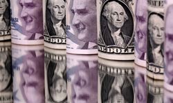 Dolar/TL bayram arifesinde 45,91 seviyesiyle tarihi zirvede