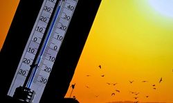 Türkiye'nin en sıcak ilçesi Sarıcakaya 46 dereceyi gördü