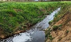 Sinop'ta atık tesisine 1.6 milyon lira çevre cezası kesildi