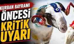 27 Mayıs'ta başlayacak Kurban Bayramı için kesim kuralları