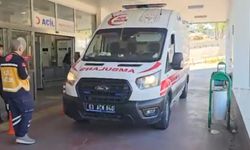 Yılanı vurmak isterken 3’ü çocuk 5 kişiyi yaraladı