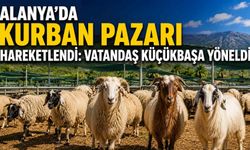 Alanya’da kurban pazarı hareketlendi: Vatandaş küçükbaşa yöneldi