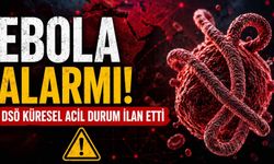 DSÖ salgın alarmı verdi: Küresel Halk Sağlığı acil durumu ilan edildi
