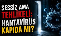 Sessiz ama tehlikeli: Hantavirüs kapıda mı?