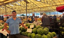 Gazipaşa'da karpuz hasadı