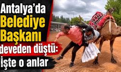 Antalya'da Belediye Başkanı deveden düştü: İşte o anlar