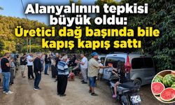 Alanyalının tepkisi büyük oldu: Üretici dağ başında bile kapış kapış sattı
