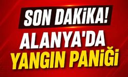 Alanya'da yangın paniği