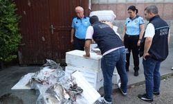 Antalya Otobüs Terminali’nde 260 kilo kaçak balığa el konuldu