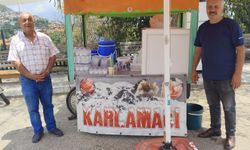 Alanya’da karlama mevsimi başladı