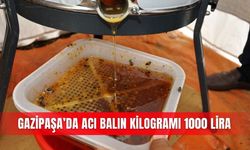 Gazipaşa'da acı bal hasadı başladı: Kilogramı 1000 lira