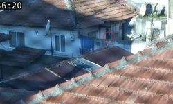 Bursa'da 7 yıl sonra kurtarılan Nazar annesine kavuştu