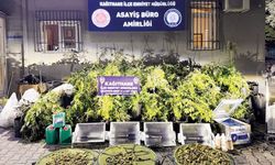 30 milyon liralık uyuşturucu serasına koku operasyonu